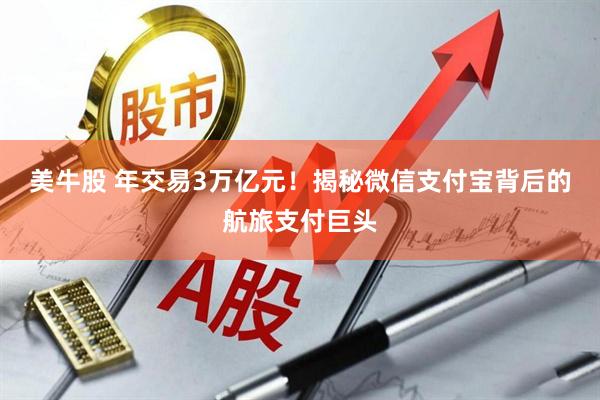 美牛股 年交易3万亿元！揭秘微信支付宝背后的航旅支付巨头