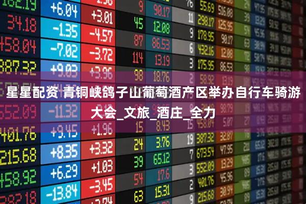 星星配资 青铜峡鸽子山葡萄酒产区举办自行车骑游大会_文旅_酒庄_全力