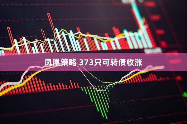 凤凰策略 373只可转债收涨