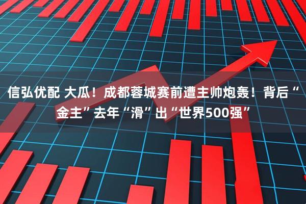 信弘优配 大瓜！成都蓉城赛前遭主帅炮轰！背后“金主”去年“滑”出“世界500强”